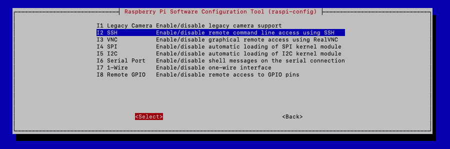 raspi-config_connections.png